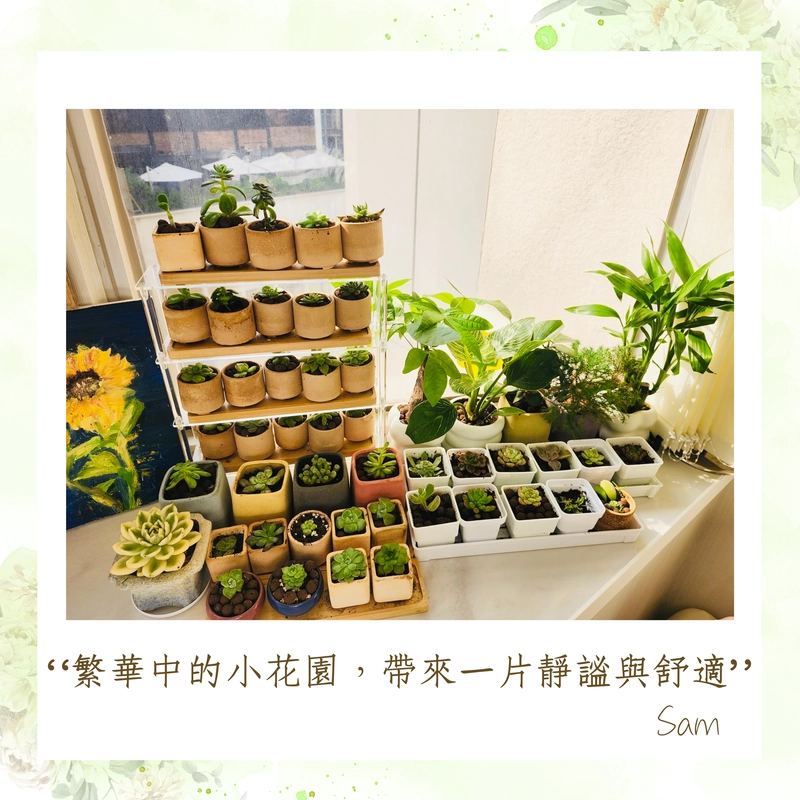 繁華中的小花園，帶來一片靜謐與舒適