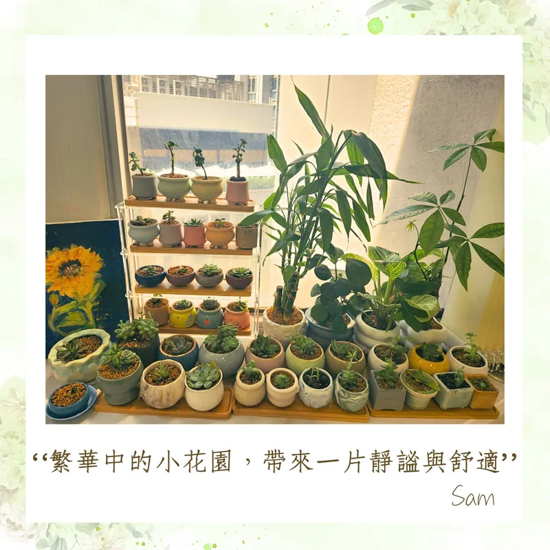 繁華中的小花園，帶來一片靜謐與舒適